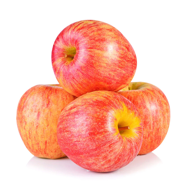 Gala Apple